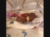 Steven Rodriguez Jr. March 11, 2023 - April 30, 2023