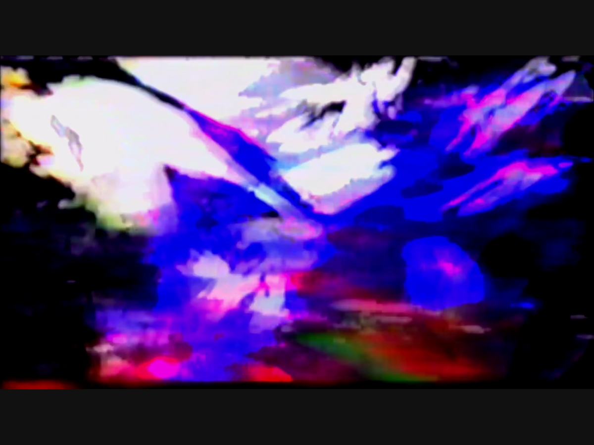  2021, Digital macro video, Induced VHS Generation Loss, Audio collage.
