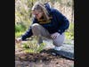Nancy Burns, senior instructor of biology at Quinnipiac, participates in the Arbor Day ceremony at the Albert Schweitzer Institute.
