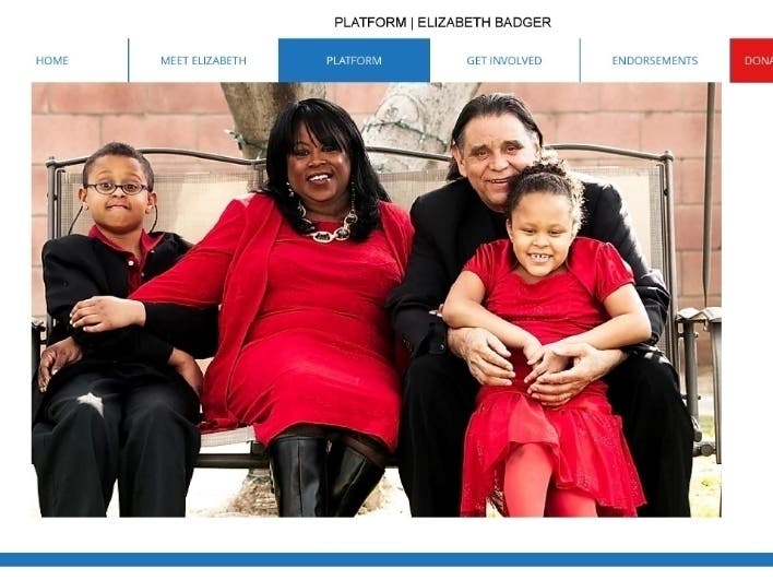 A screenshot of the “platform” page from Badger’s website