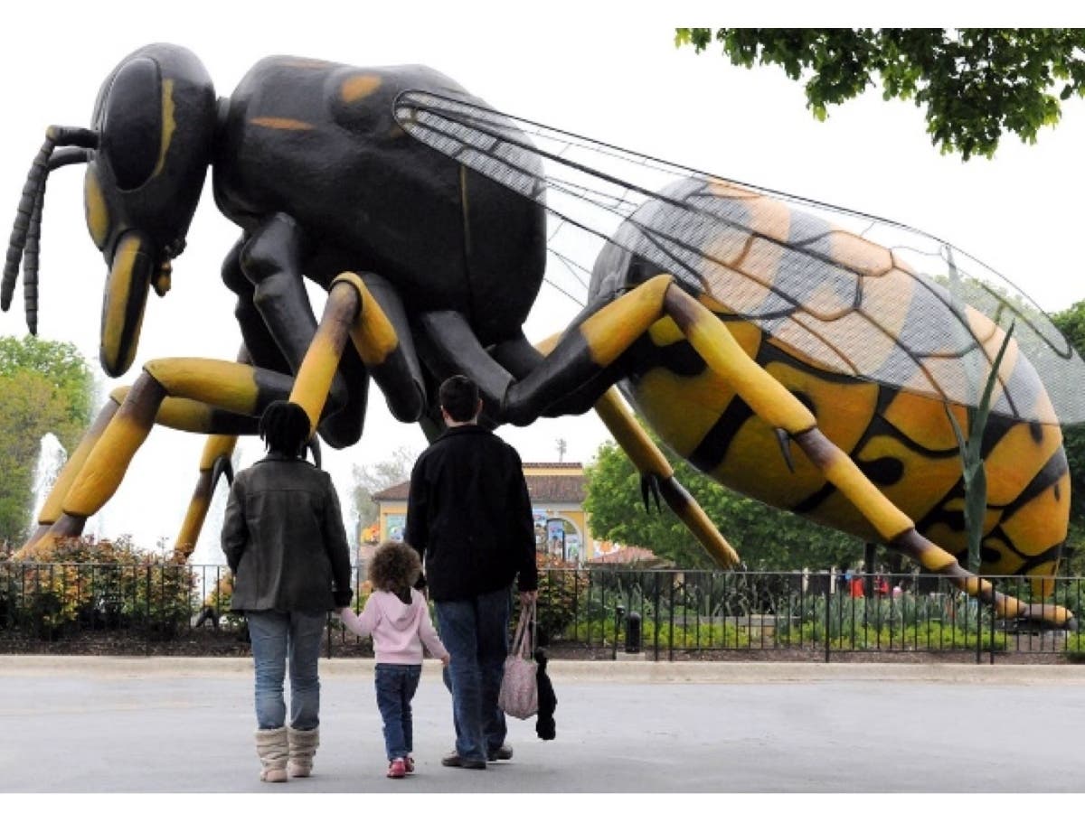 A Bug's World is coming to Roger Williams Park Zoo.