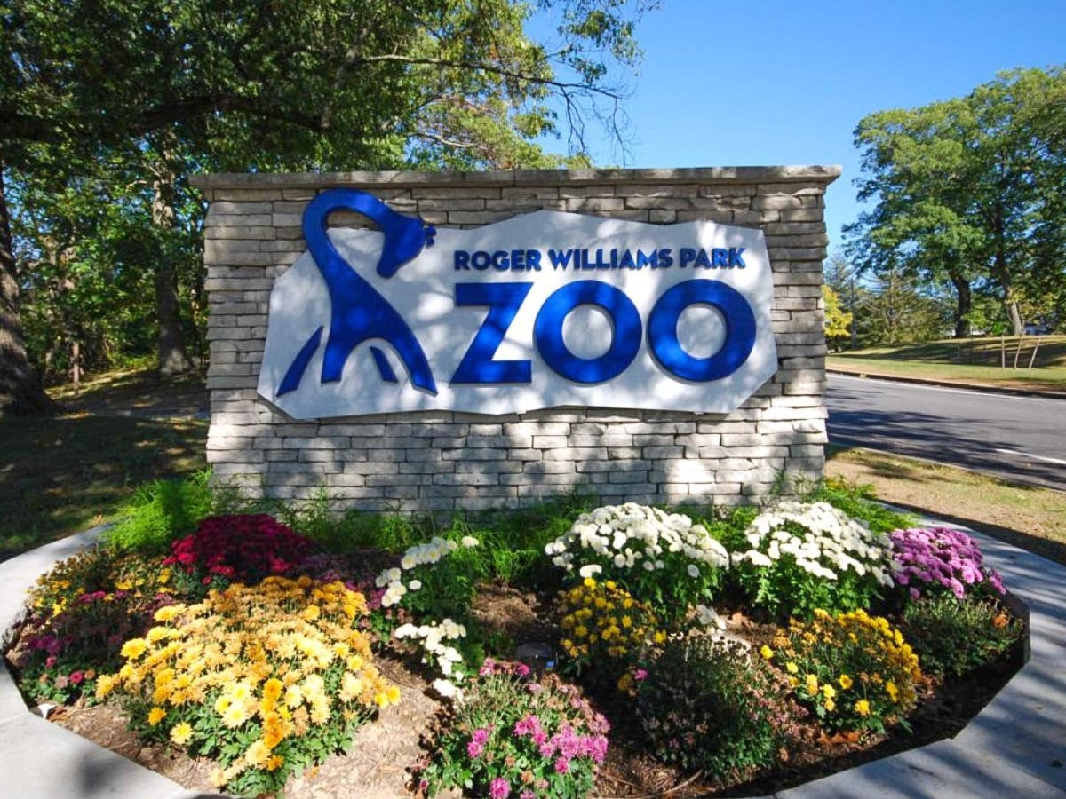 The Roger Williams Park Zoo revealed its lineup of June and July events.