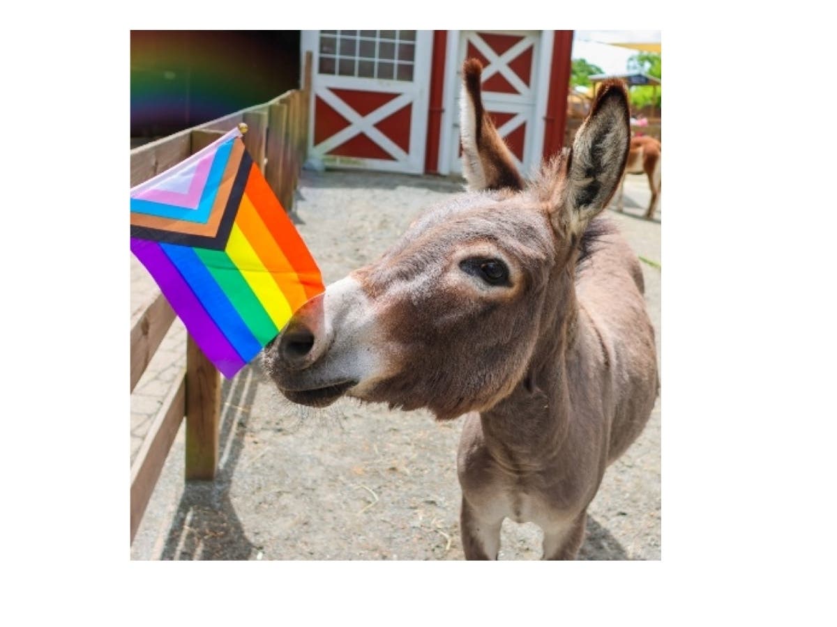 The Roger Williams Park Zoo is celebrating the LGBTQIA+ community with "Party with Pride" night.