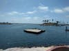 Oceanside Harbor Sea Lion Platform
