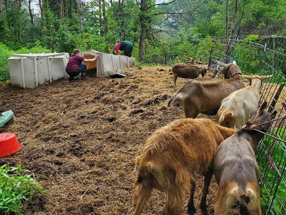 The animals were kept in "extremely unsanitary" conditions without access to food, the Bucks County SPCA said. 