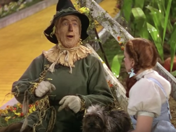 A scene from the Wizard of Oz, which will be screened outdoors on Sept. 13.