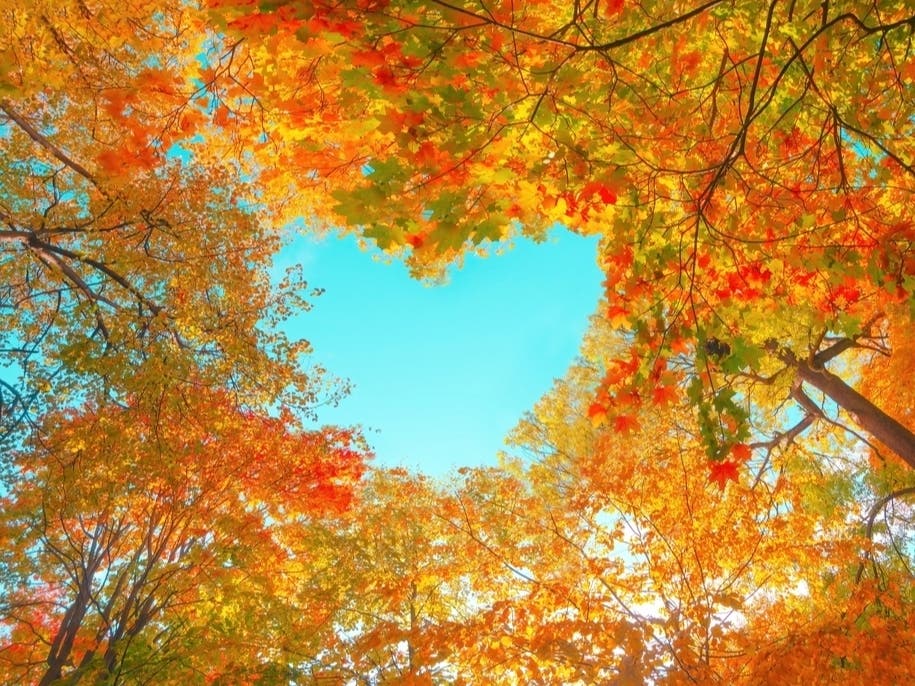 This Week In Easton: Farmer's Market, Community Meetings, Labor Day Schedule
