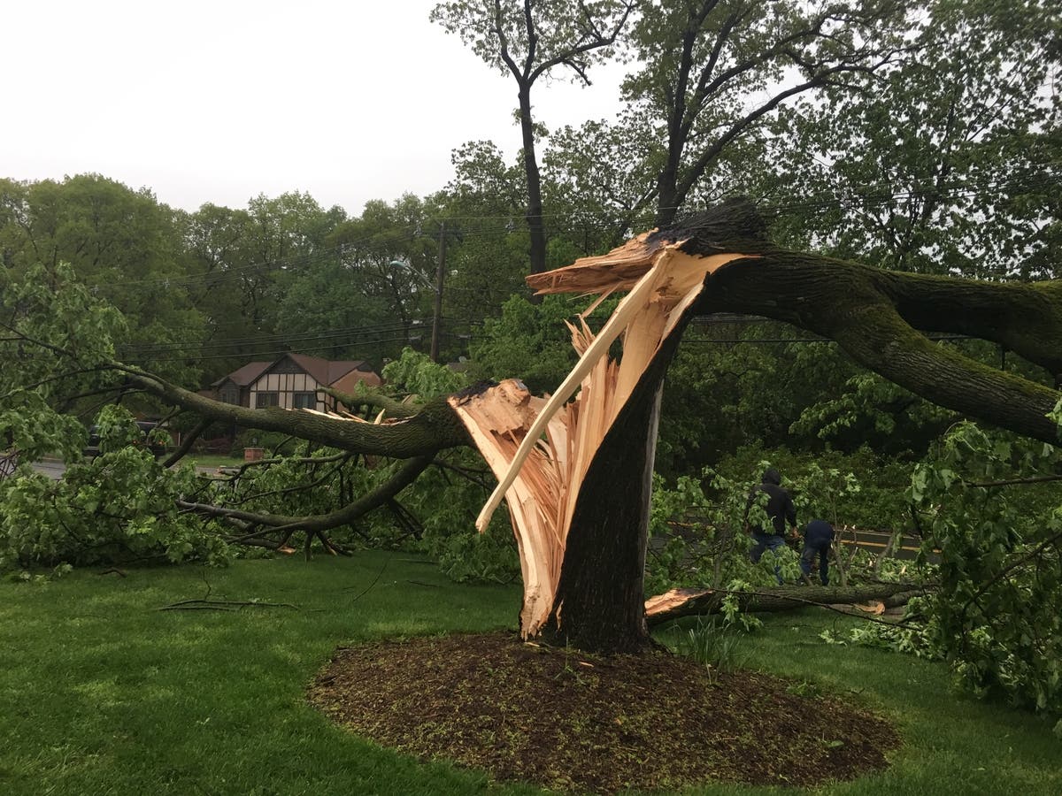 PHOTOS: Storm Leaves Path Of Destruction In Its Wake | Ridgewood, NJ Patch