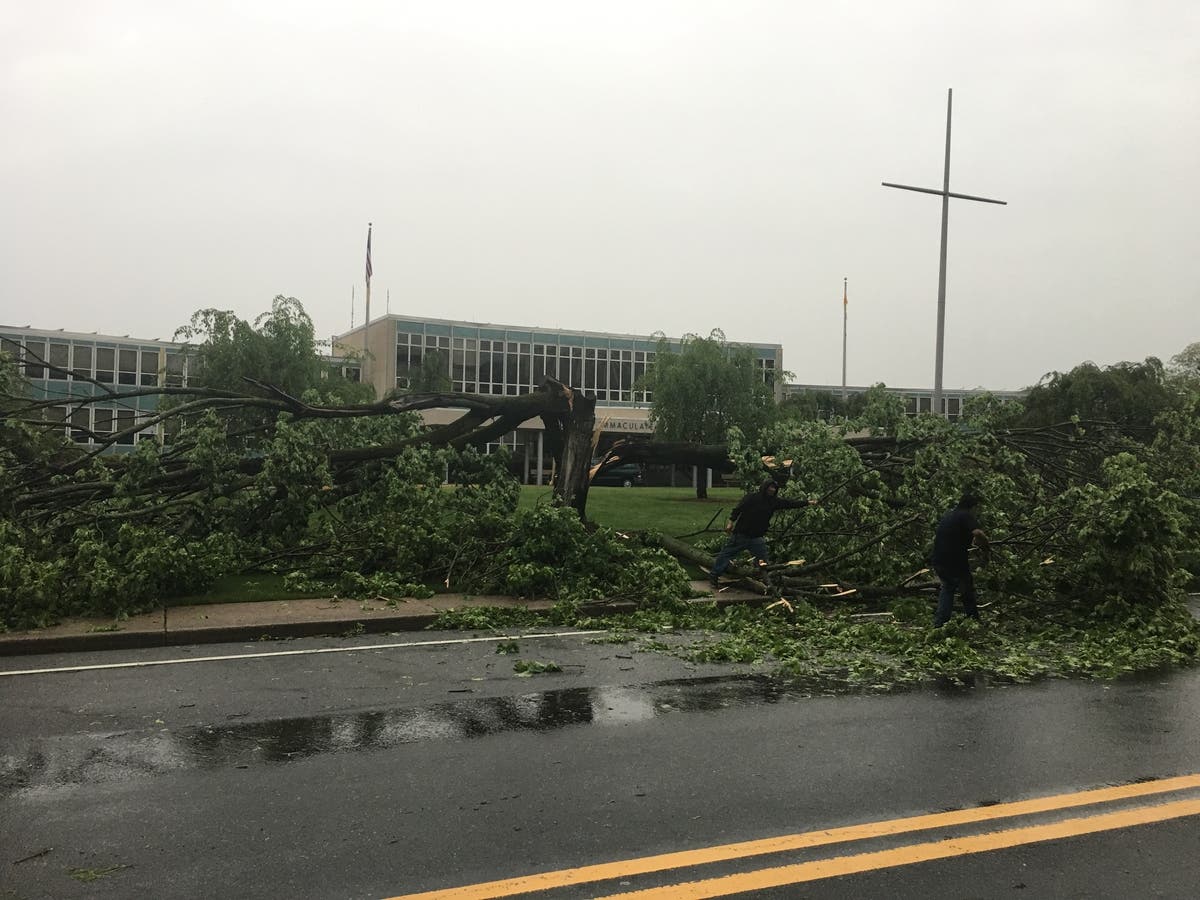 PHOTOS: Storm Leaves Path Of Destruction In Its Wake | Ridgewood, NJ Patch