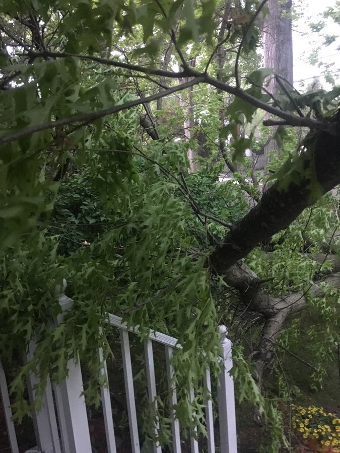 PHOTOS: Storm Leaves Path Of Destruction In Its Wake | Ridgewood, NJ Patch