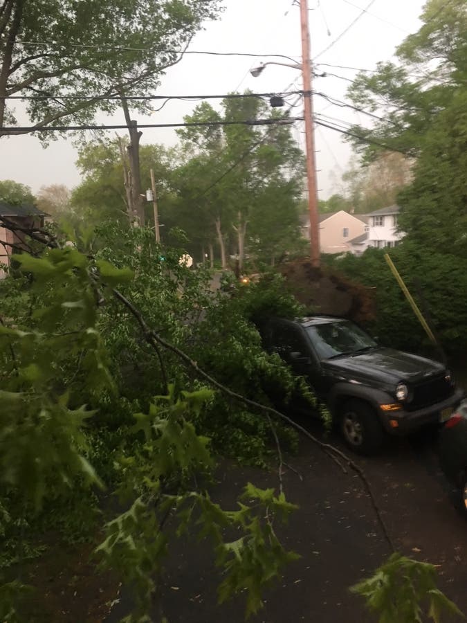 PHOTOS: Storm Leaves Path Of Destruction In Its Wake | Ridgewood, NJ Patch