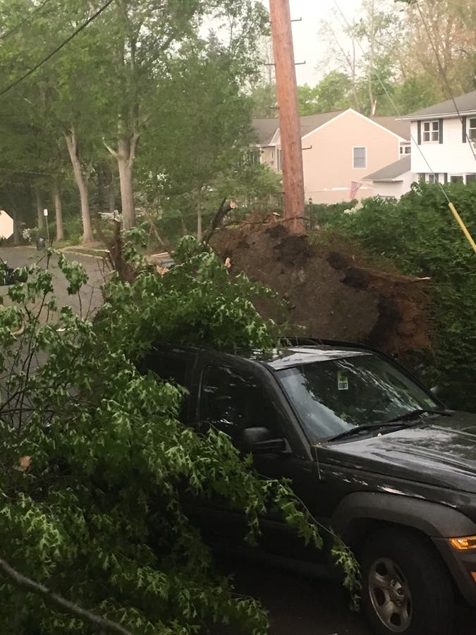 PHOTOS: Storm Leaves Path Of Destruction In Its Wake | Ridgewood, NJ Patch