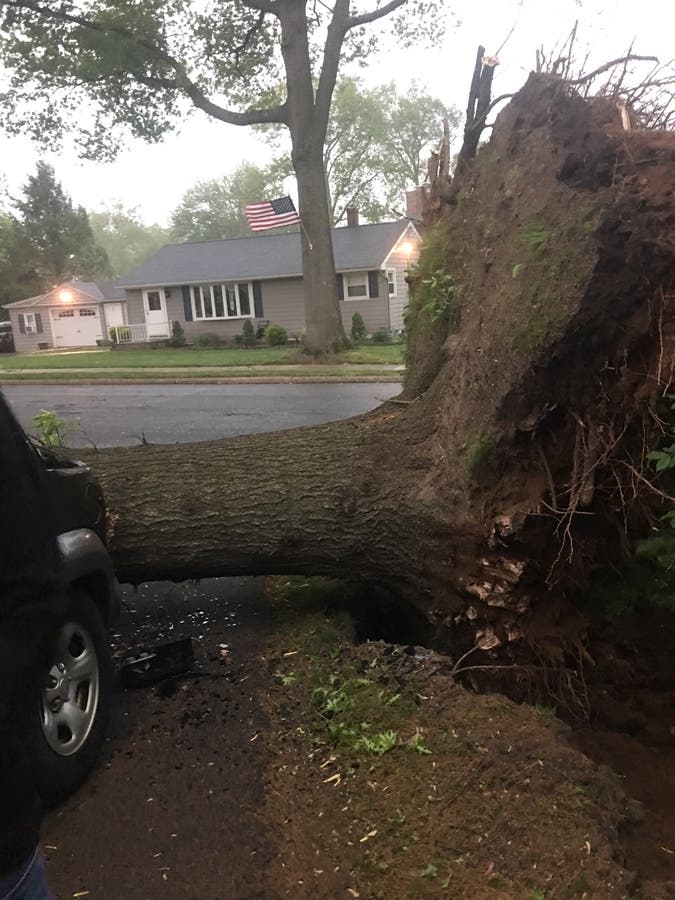 PHOTOS: Storm Leaves Path Of Destruction In Its Wake | Ridgewood, NJ Patch