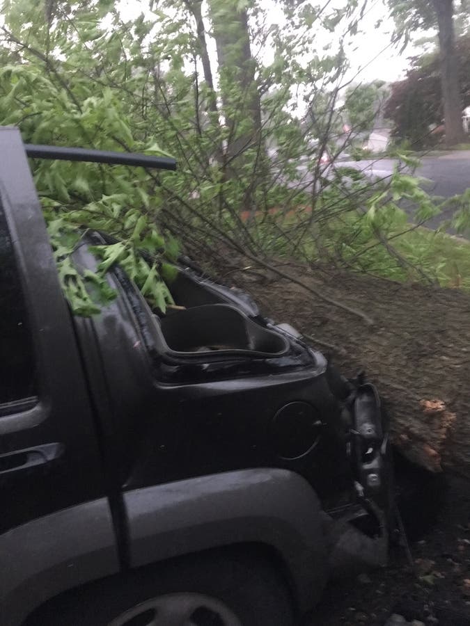 PHOTOS: Storm Leaves Path Of Destruction In Its Wake | Ridgewood, NJ Patch