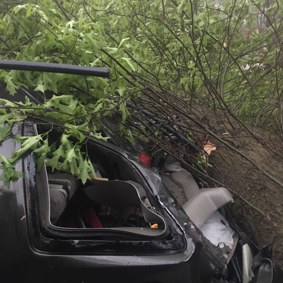 PHOTOS: Storm Leaves Path Of Destruction In Its Wake | Ridgewood, NJ Patch