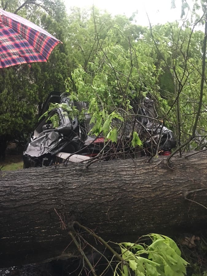 PHOTOS: Storm Leaves Path Of Destruction In Its Wake | Ridgewood, NJ Patch