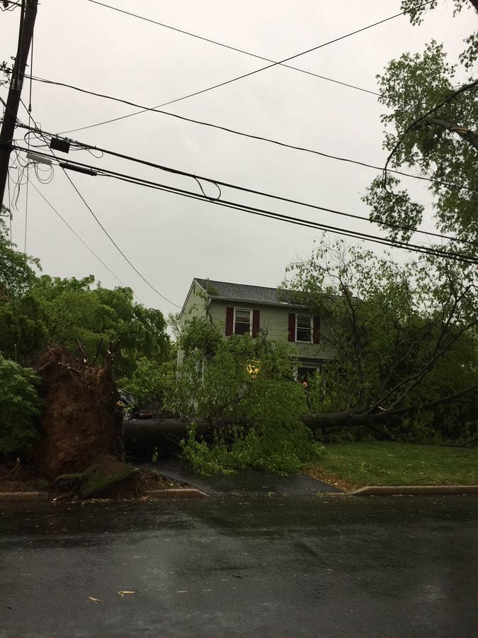 PHOTOS: Storm Leaves Path Of Destruction In Its Wake | Ridgewood, NJ Patch
