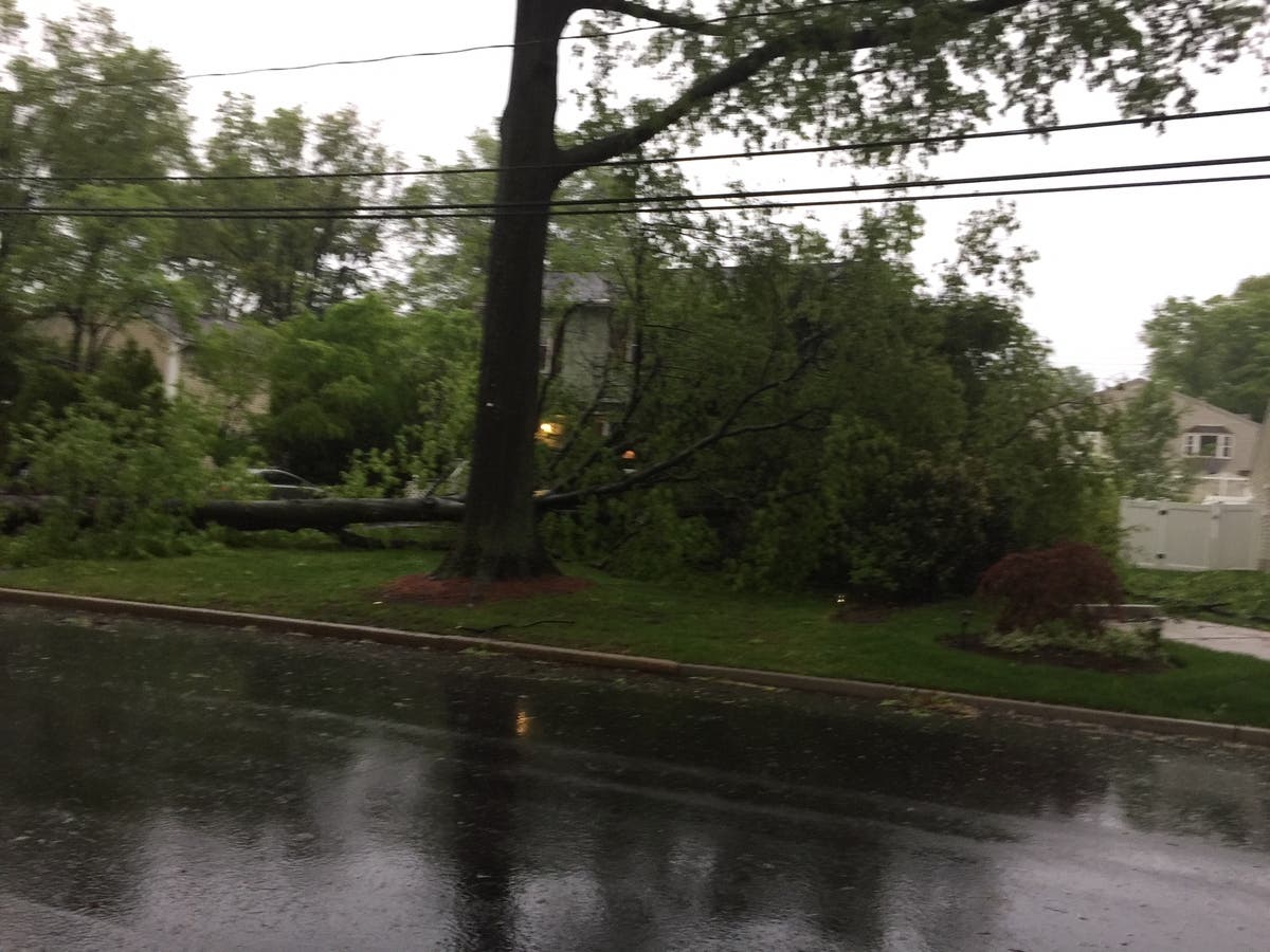 PHOTOS: Storm Leaves Path Of Destruction In Its Wake | Ridgewood, NJ Patch