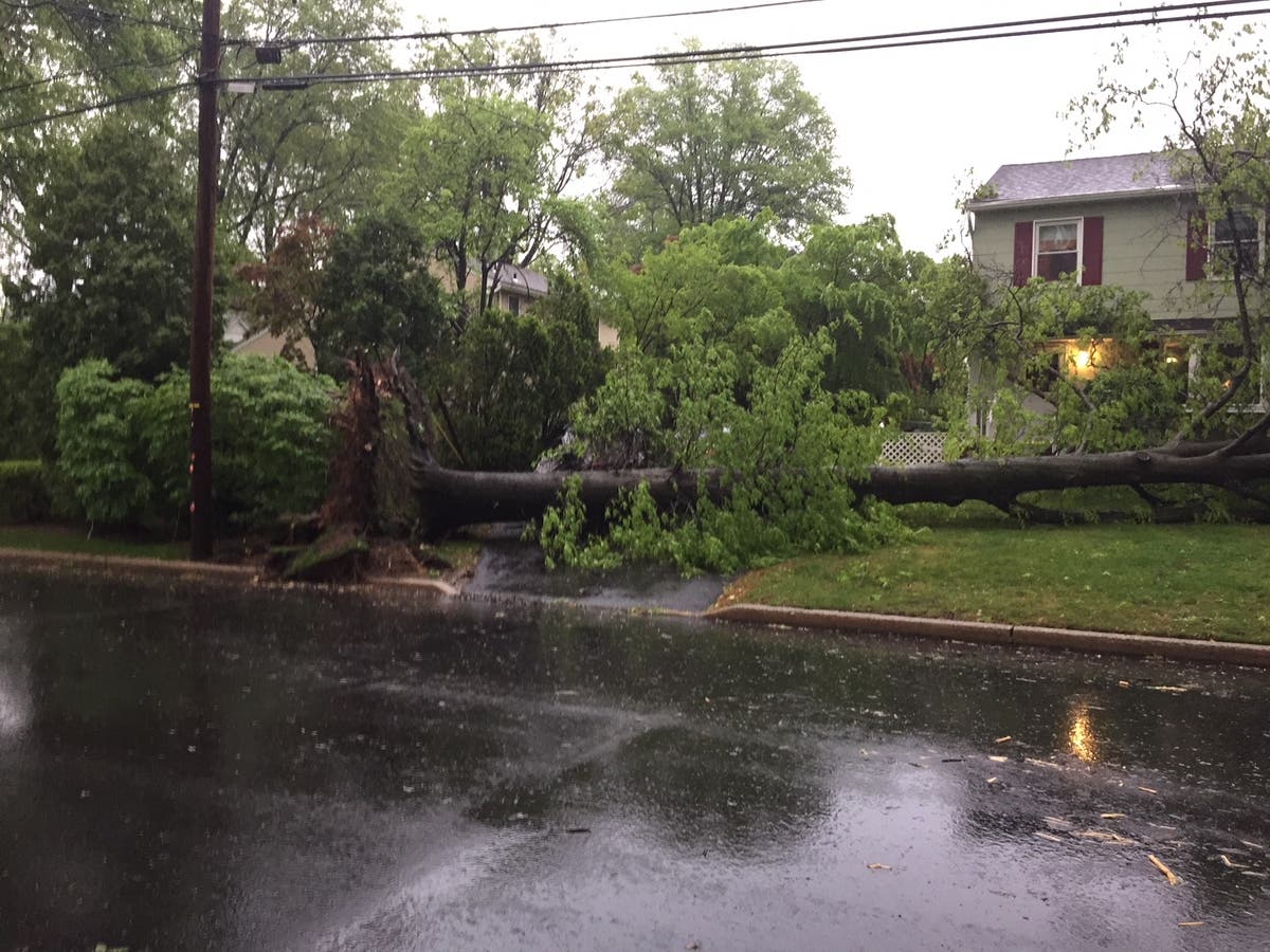 PHOTOS: Storm Leaves Path Of Destruction In Its Wake | Ridgewood, NJ Patch