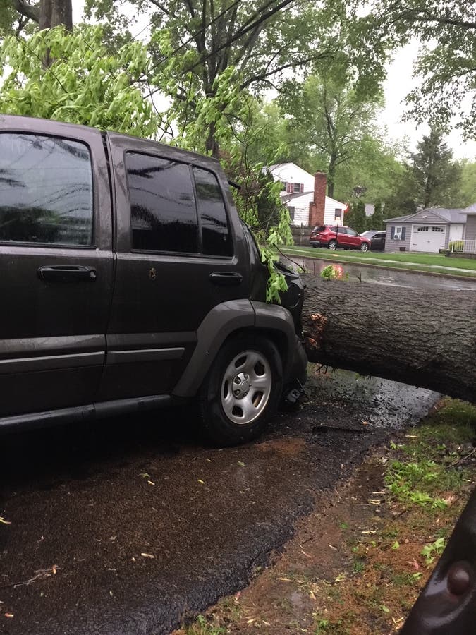 PHOTOS: Storm Leaves Path Of Destruction In Its Wake | Ridgewood, NJ Patch