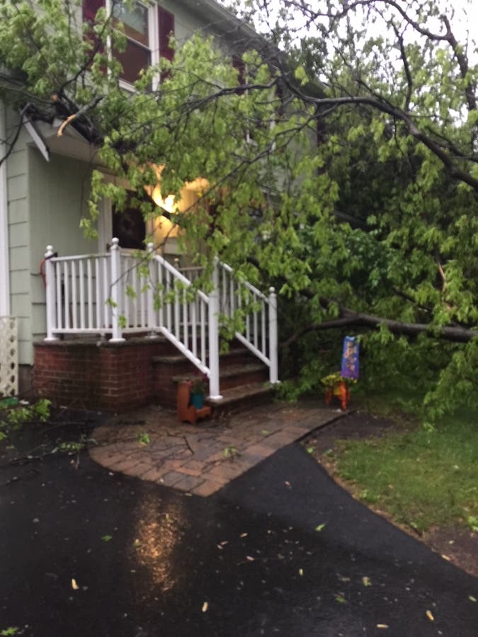 PHOTOS: Storm Leaves Path Of Destruction In Its Wake | Ridgewood, NJ Patch