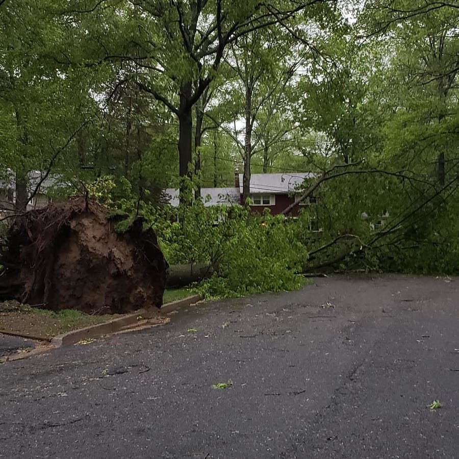 PHOTOS: Storm Leaves Path Of Destruction In Its Wake | Ridgewood, NJ Patch