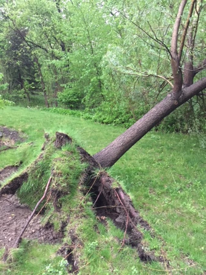 PHOTOS: Storm Leaves Path Of Destruction In Its Wake | Ridgewood, NJ Patch