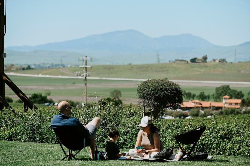 McGrail's Spring Picnic on the Lawn!