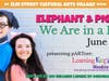 Nicholas Vavra and Karen Collier star in Elephant & Piggie's "We Are in a Play!"
