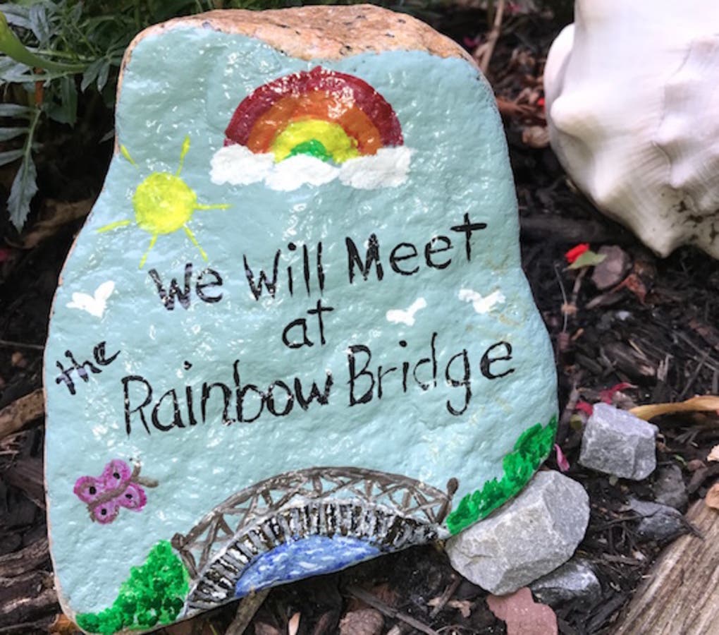 Woman Hides Painted Rocks Around Town To Spread Sunshine, Cheer | North ...