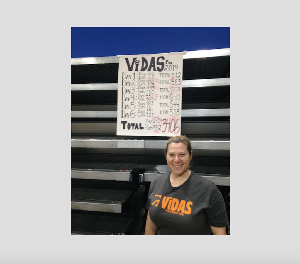 An angel with a heart of gold helped thousands of animals in Puerto Rico.