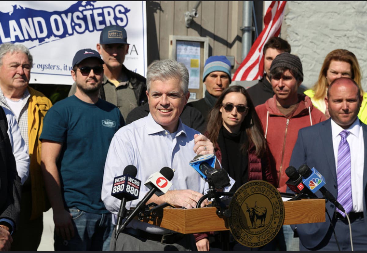 Shellfishing is critical to LI's waterways and economy, Suffolk County Executive says.