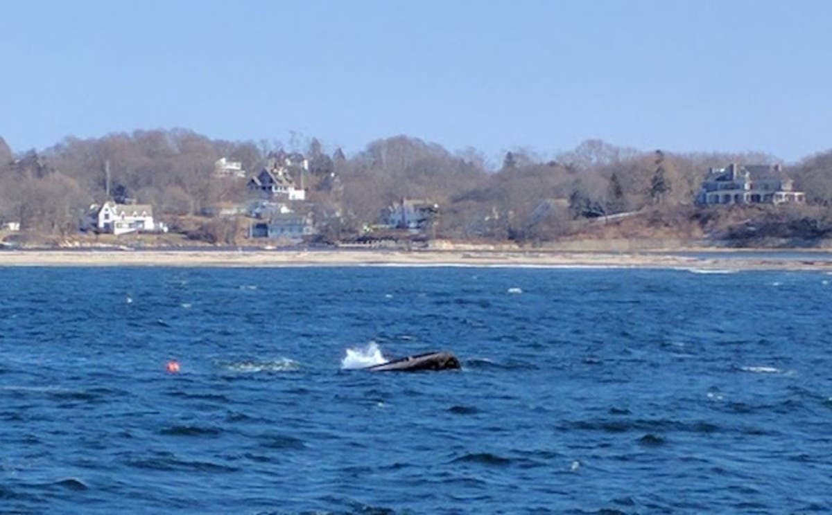 The "sheening" is not expected to have caused harmful impacts, the USCG says.