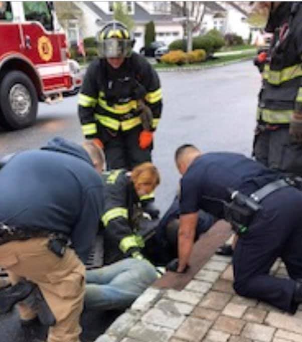 9 Baby Ducks Rescued From Storm Drain By Firefighters | Center Moriches ...