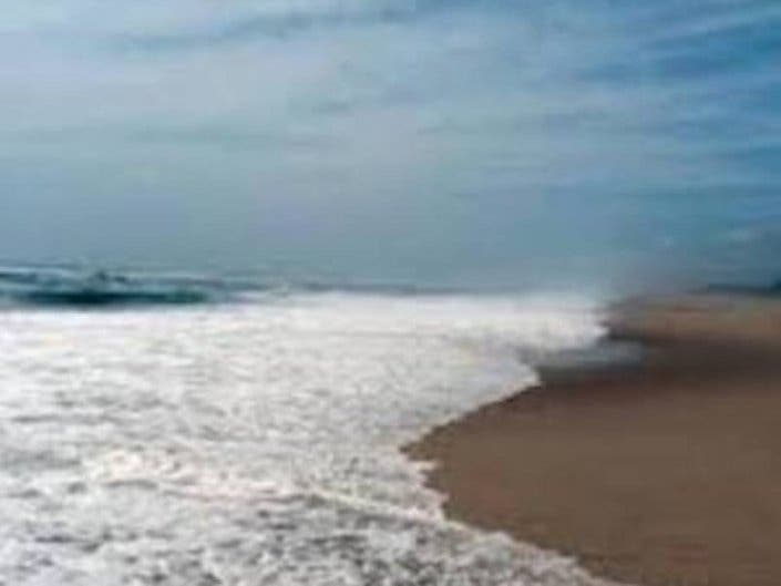 Activists said they will bring inflatable pitchforks to the protests.