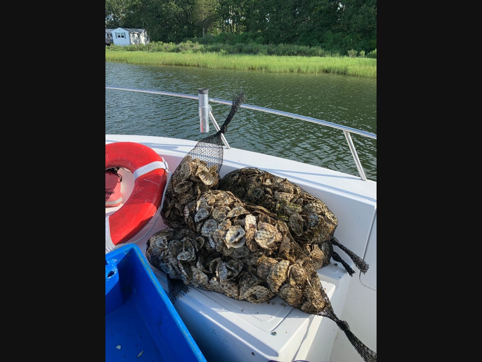 More than 100,000 spat-on-shell oysters were placed in Lake Montauk to enhance water quality and the local oyster population.