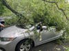 A tree crashed down onto a car in Riverhead during Tuesday's storm.