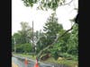 Trees were down across the East End Tuesday.