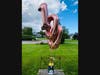 Carrying balloons and champagne, Jesse Springers surprised one lucky woman with his 100th "dusting."