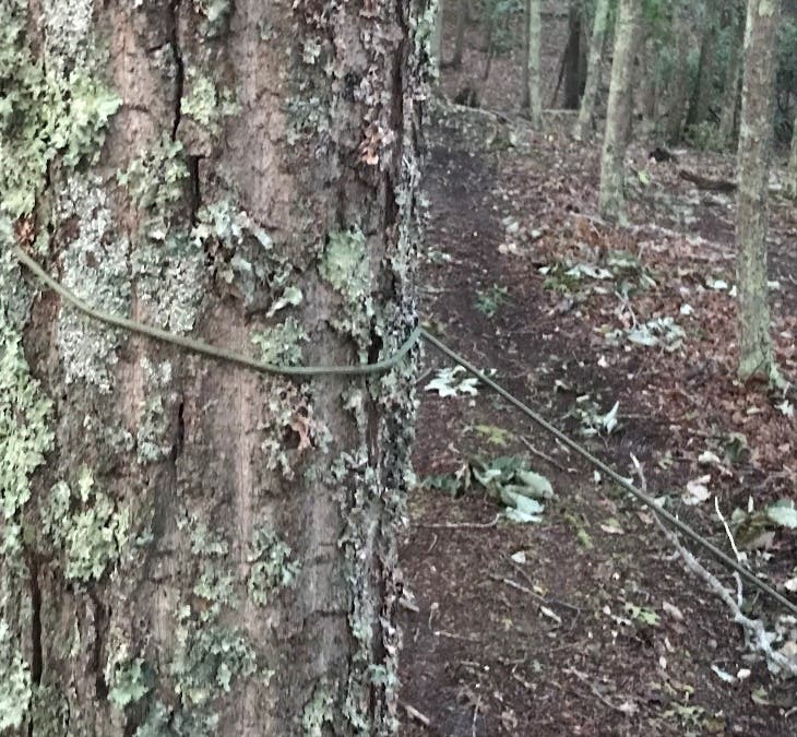 A young person riding an ATV was seriously injured when a cord caught his neck, police said.