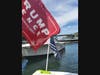 Boats adorned with flags in support of President Donald Trump dotted the Shinnecock Bay Sunday.