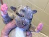 The nine puppies need help, local shelter said.