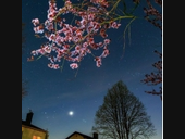 North Fork Dark Sky Week is coming soon and lasts from April 5 to 12.