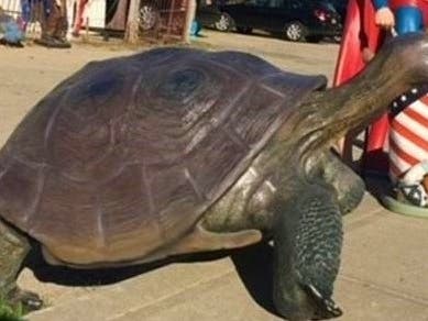 A statue of a turtle was stolen from a front yard in Westhampton sometime between March 19 and April 4, police said.