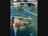 Fragments of the boat were seen underwater.