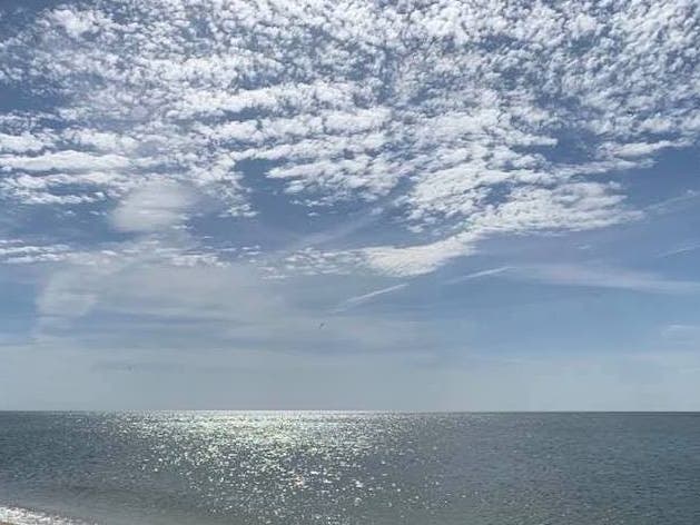 A friend called for help after she could no longer see the woman swimming in the Sound Sunday morning, police said.