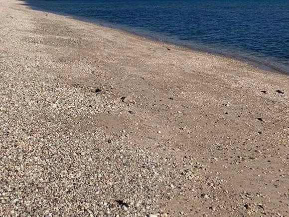 It was a win for environmentalists as Gov. Kathy Hochul signed legislation to promote aquaculture on the East End.