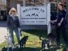 Despite their ordeal, the dogs are sweet and happy — and looking for new homes, rescuers said.