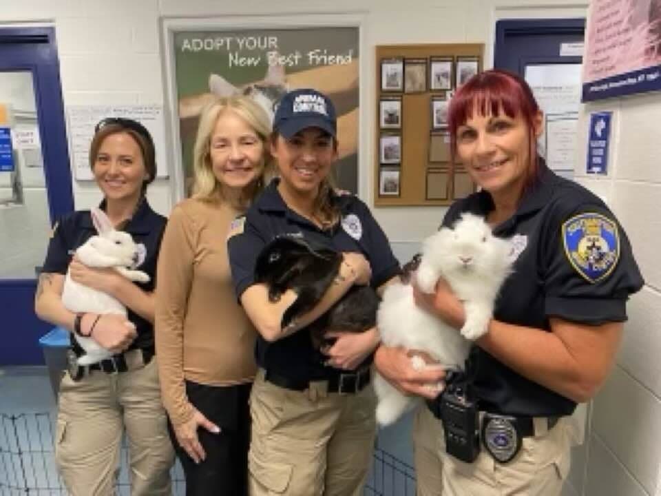 Rabbits and chicks need years of care and those giving them as Easter gifts should remember that before making the decision, officials said.