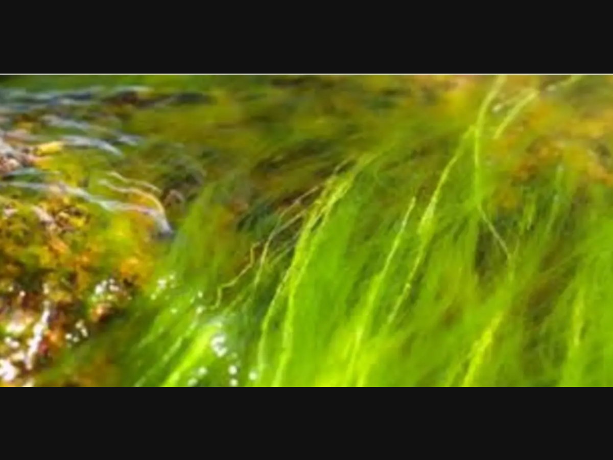 Here's what to do if your skin makes contact with the water.